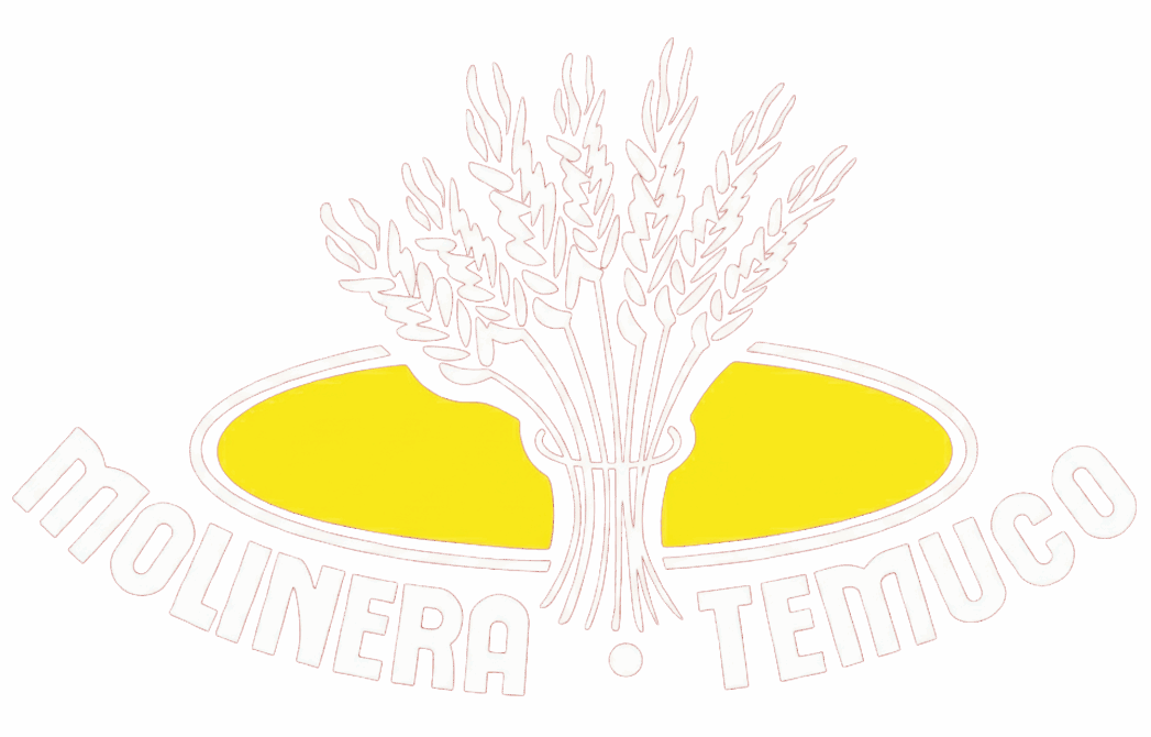 logo png