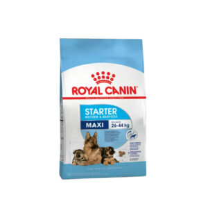 royal canin maxi starter 10 kg