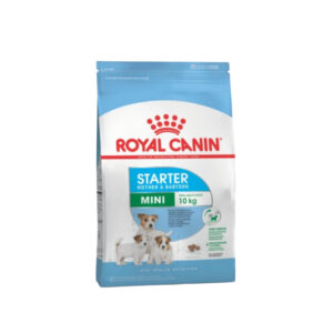 royal canin mini starter 3 kg
